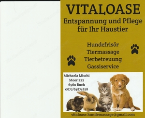 Vitaloase - Hundefrisör,Tiermassage,Tierbetreuung