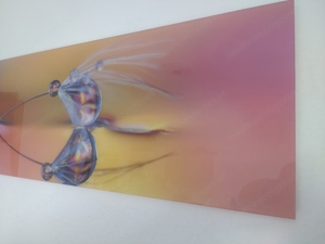 Glasbild Pusteblume 80x30