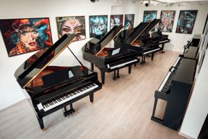 STEINWAY & SONS Klavier, schwarz poliert. Kostenlose Lieferung in ganz Vorarlberg(*) Bild 11