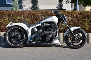 Custom Harley Davidson Softtail