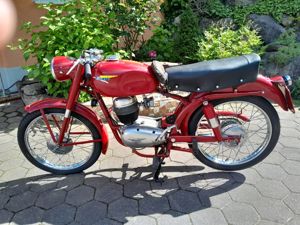 Ceccato 125cc, 1955