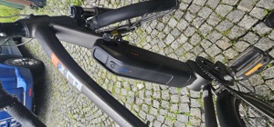 E-Bike Prophete AEG