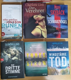 Thriller Krimi Bild 2