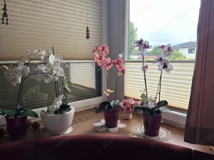 Kunstblumen, Blumenstrauß, Orchideen