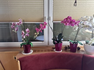 Kunstblumen, Blumenstrauß, Orchideen Bild 3