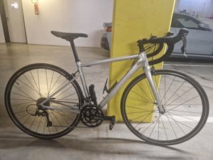 Rennrad Cannondale Optimo 4 28" Größe 51 cm