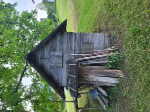 hühnerstall kinderhaus Bild 2