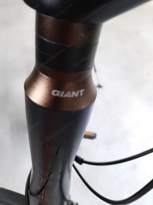 Rennrad GIANT