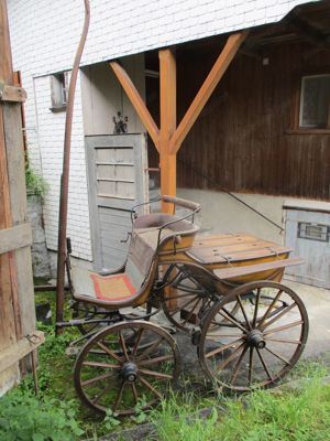 Historische Kutsche Einspänner Sport-Break Pferde-Wagen Bild 3