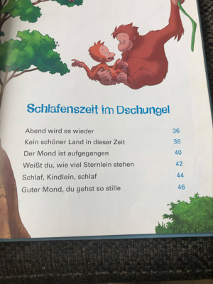 Kleiner Dodo Liederbuch Bild 4