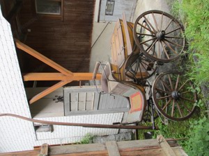  Historische Kutsche Einspänner Sport-Break Pferde-Wagen Bild 3