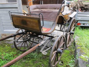  Historische Kutsche Einspänner Sport-Break Pferde-Wagen Bild 6