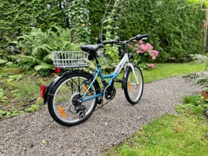 Kinder-Fahrrad, 20 Zoll, Service gepflegt