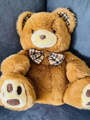 Teddy Bär