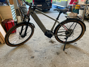 E-Bike Kraftstoff Bild 3