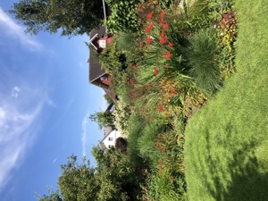 Blumensträuße für alle Anläße Bild 3