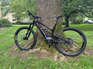 YT Industries Decoy CF Pro 29 2020 XXL