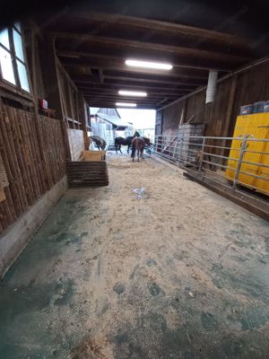 Einstellplatz in kleiner Herde in Frastanz zu vergeben