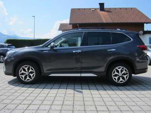 Subaru Forester 2019 Bild 4