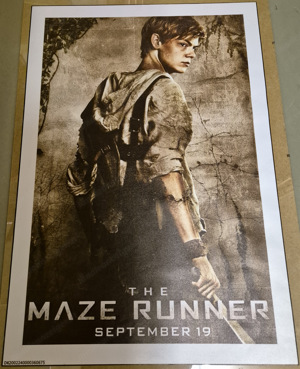 Poster The Maze Runner