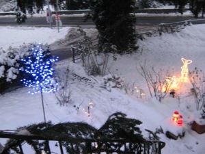 LED Weihnachtsbeleuchtung, Elch,Schlitten,Schneemann