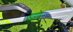 EBike Liqbike Herren Bild 2