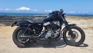 Harley Davidson Nighster XL1200N