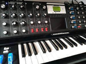 Synth  Moog Voyager Electric Blue Edition