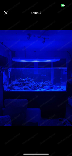 RedSea Aquarium 650L