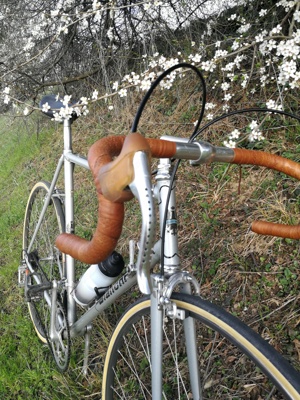 Eroica BIANCHI, Vintage   Retro-Rennrad mit Campagnolo Antrieb & Mavic Felgen Bild 3