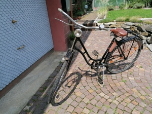 Waffenrad Bild 2