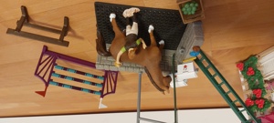 Schleich Cafe & Pferde Waschplatz Bild 4