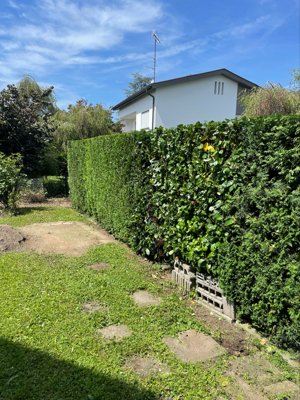 Gartenbau Hecken Arbeiten Rodung gartenarbeit Bäume parkplätze wegebau pflege 