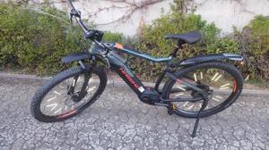 Ebike Grey mountain bike