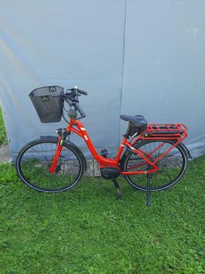 E-Bike Pegasus Premio