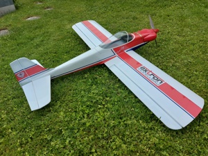 RC Flugmodell Charly