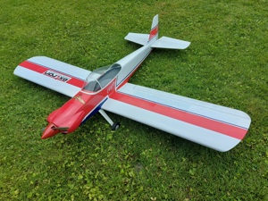 Ferngesteuertes Modellflugzeug Charly 