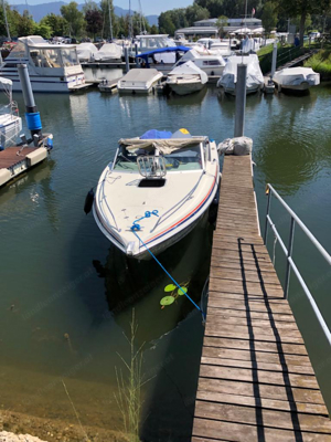 Motorboot Sunseeker Portofino mit Bodenseezulassung