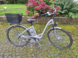 Flyer E Bike 