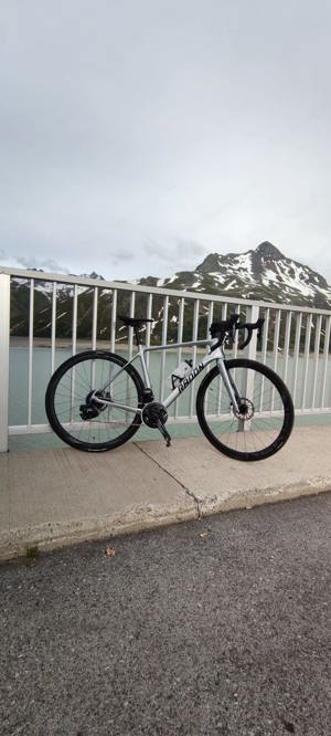 Rennrad Radon Spire Carbon