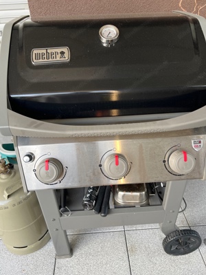 Weber Grill GS4