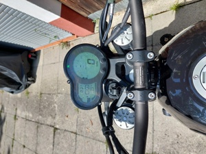 Benelli Leoncino 500 X (Trail) Bild 5