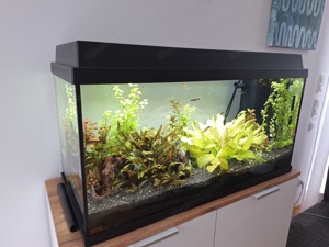 Aquarium komplett 