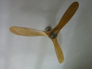 Deckenventilator, Eco Genuino