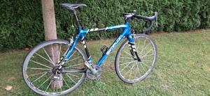 Rennrad Simplon Pavo