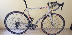 Rennrad Cervelo R3 Shimano Ultegra Swiss DT