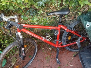 Mtb Steppenwolf alu rad