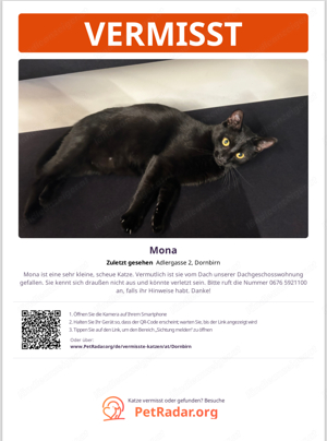 Katze vermisst - Hatlerdorf, Dornbirn