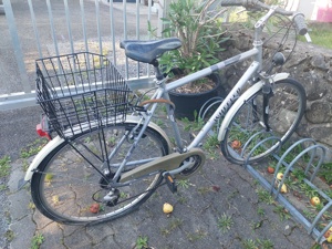 Herrenfahrrad "WHEELER" Bild 2