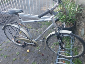 Herrenfahrrad "WHEELER" Bild 1